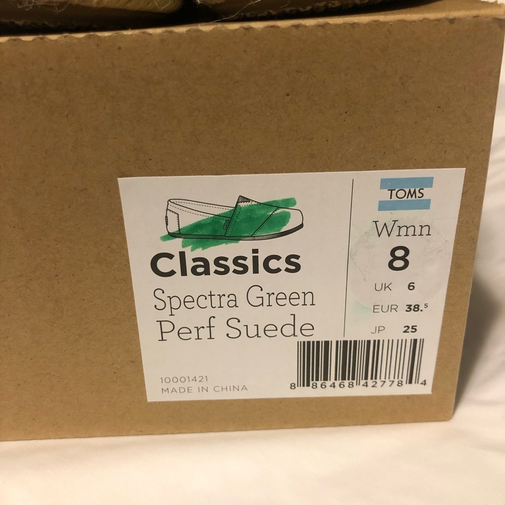 Suede Toms - Picture 4 of 6